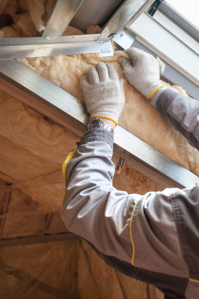 Best Insulation Installation Services in Ely, NV