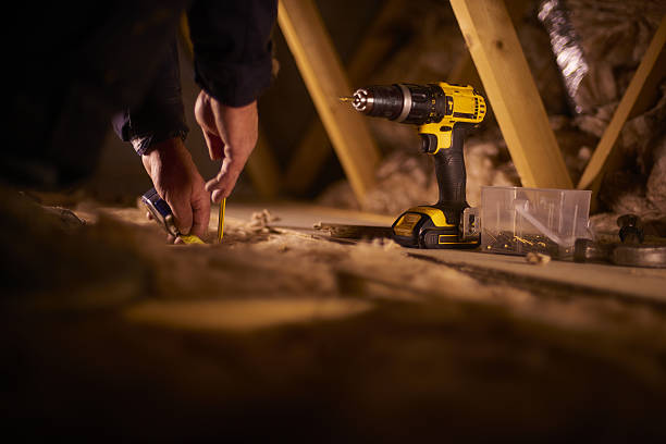 Best Insulation Maintenance and Repair in Ely, NV