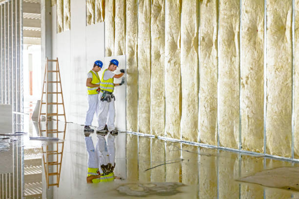 Best Insulation for Specific Applications in Ely, NV